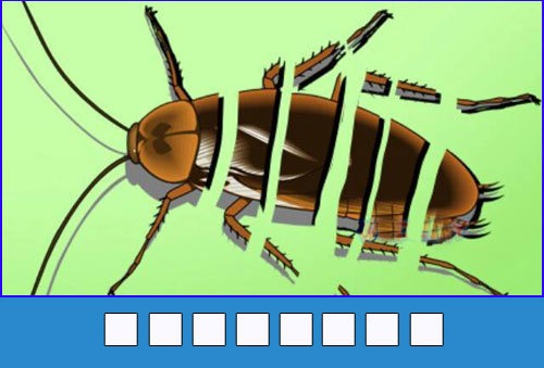 Đuối hình bắt chữ P1